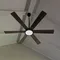 Ceiling fan installed by our team