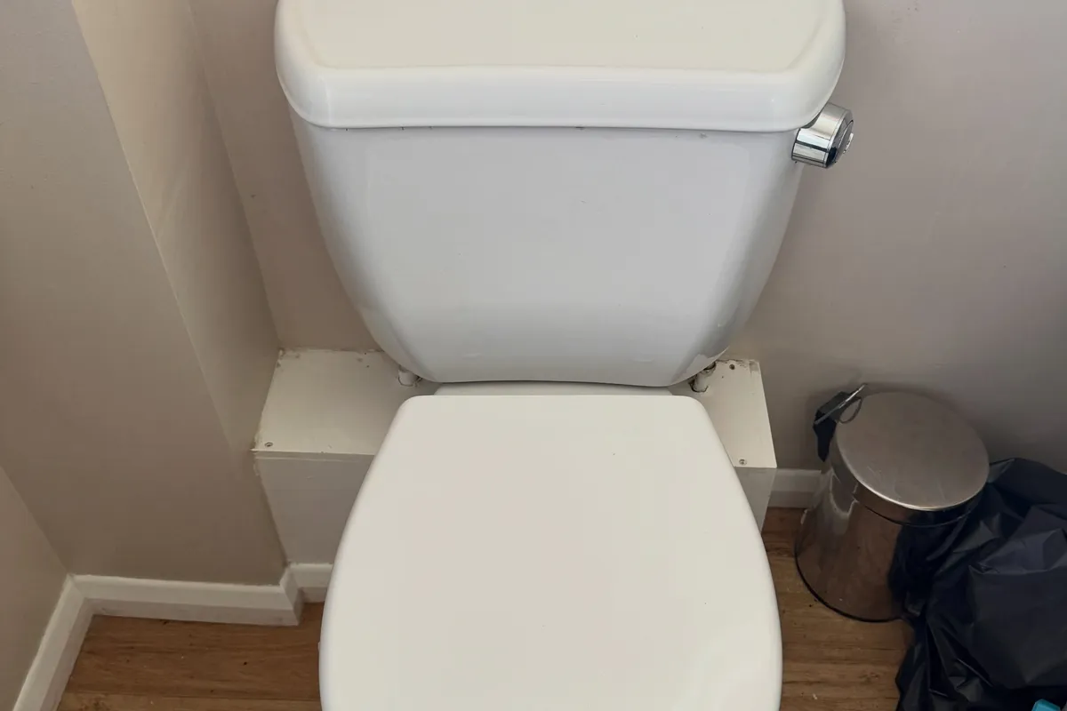 New white toilet installed in a St. Petersburg, FL bathroom