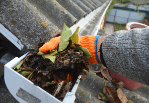 Dunedin Gutter Repair and Cleaning Services AdobeStock 381395486 300x207