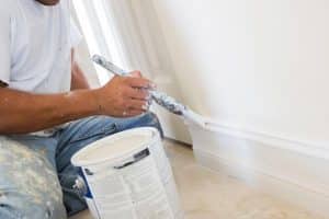 Dunedin House Painting Services house painting 2 300x200